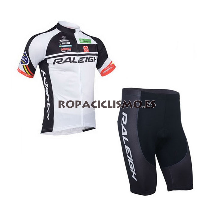 2013 Maillot raleigh mangas cortas