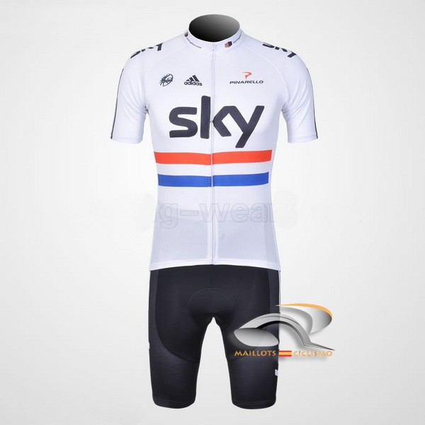 2012 Maillot sky mangas cortas