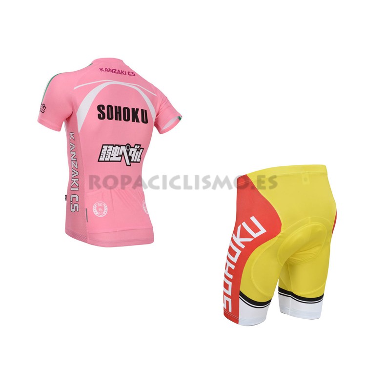 2014 Maillot Cyclingbox mangas cortas rosa